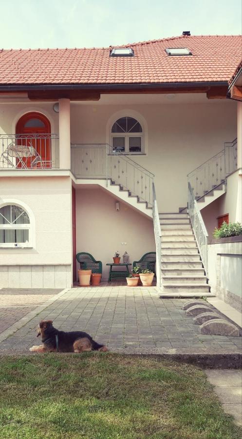 Prenocisca Angelin Hram, Tiny Apartments Markovec Zewnętrze zdjęcie