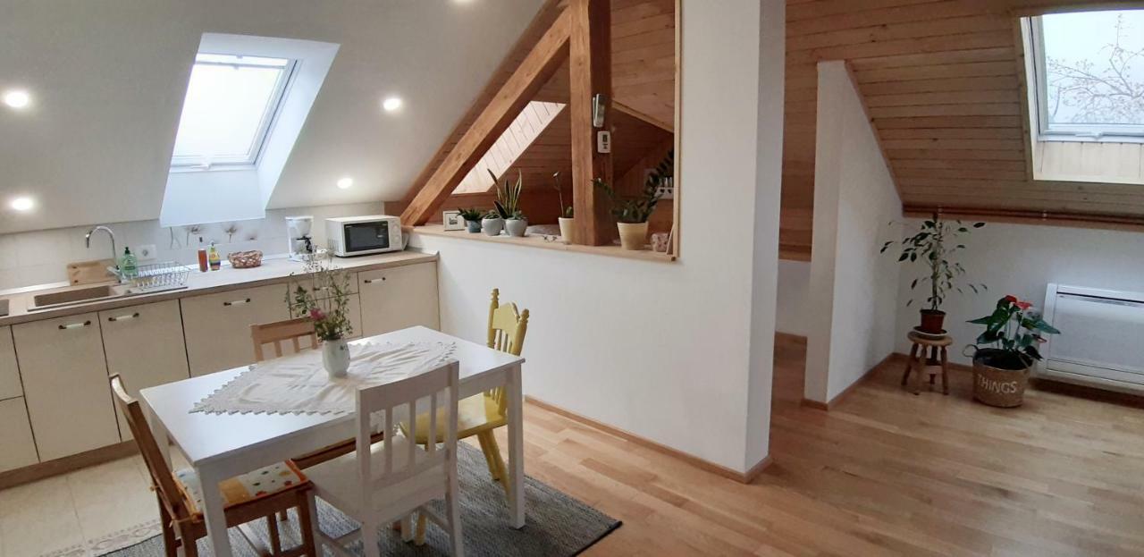 Prenocisca Angelin Hram, Tiny Apartments Markovec Zewnętrze zdjęcie